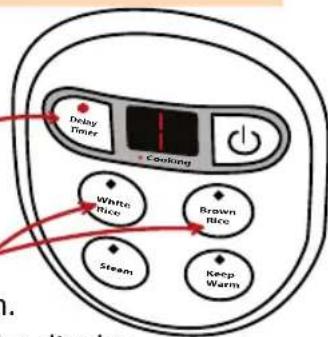 Delay Timer Cooking White Rice Brown Rice Steam Keep Warm