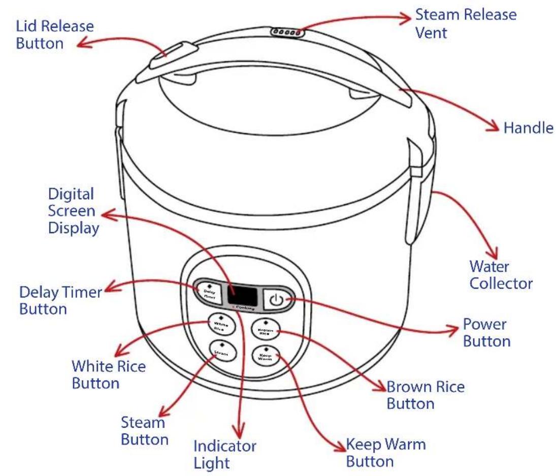 Lid Release Button Steam Release Vent Handle Digital Screen Display Water Collector Delay Timer Button Power Button White Rice Button Brown Rice Button Steam Button Indicator Light Keep Warm Button