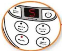 Daily Time Cooking White Rice Brown Rice Steam Keep Worm
