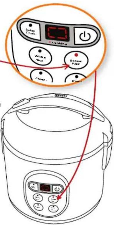 Delay Timer Cooking White Rice Brown Rice Steam Koam