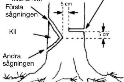 PARTNER P842 - SÄGA.KILURHOLKNINGOCHFÄLLATRÄDET - 1