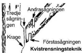 PARTNER P842 - KVISTRENSNING - 1