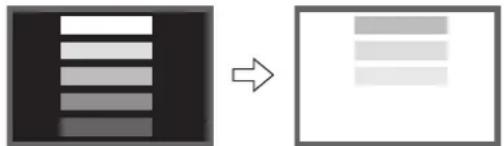 VIEWSONIC VPW5500 - Image retention characteristics of a plasma display - 2