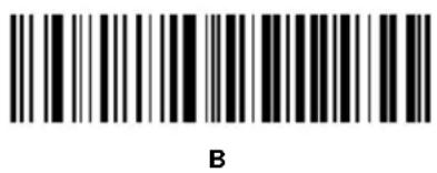 B
