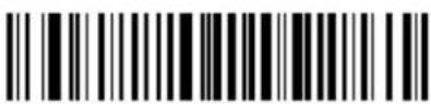 Newland Piranha BS8050-2V - Parameters of USB HID-KBW - 5