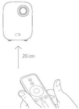 20 cm