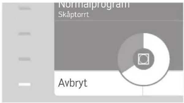 Normalprogram Skåptorrt Avbryt