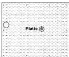 Platte 6