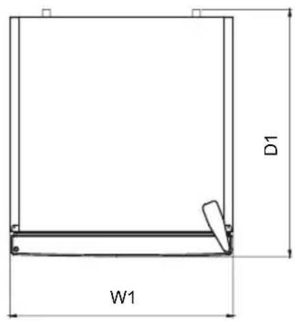 D1 W1