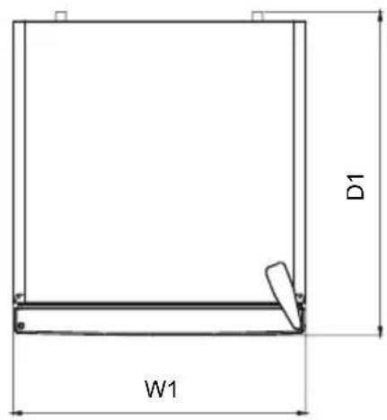 D1 W1