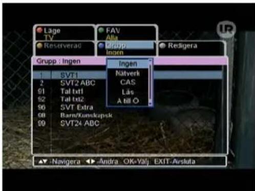 Lage TV Reserverad FAV Alla Grupp Ingen Redigera Grupp : Ingen Ingen Nitverk CAS Lås A till O 1 SVT1 2 SVT2 ABC 91 Tal txt1 92 Tal txt2 96 SVT Extra 98 Barn/Kumskapsk 99 SVT24 ABC ▲▼ -Navigera ▶▼ Andra - OK-Valj EXIT-Avsluta