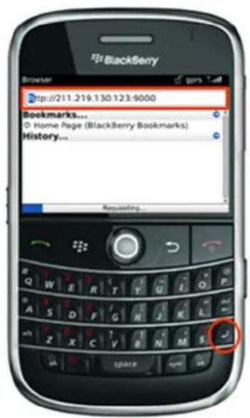 BlackBerry Browser tp://211.219.130.123:9000 Bookmarks... © Home Page (BlackBerry Bookmarks) History... Requesting...