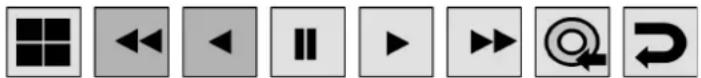 Row of eight gray square icons with black and white symbols, including grid, double left-pointing arrow, double right-pointing triangle, play button, pause icon, and curved arrow.