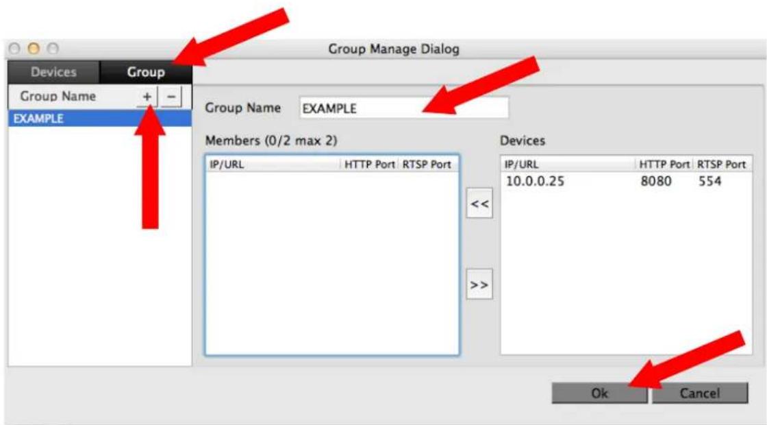 Group Manage Dialog Devices Group Group Name + - Group Name EXAMPLE EXAMPLE Members (0/2 max 2) IP/URL HTTP Port RTSP Port << >> Devices IP/URL HTTP Port RTSP Port 10.0.0.25 8080 554 Ok Cancel