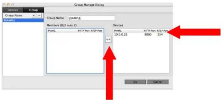 Group Manage Dialog Devices Group Name EXAMPLE Group Name EXAMPLE Members (0/2 max 2) IP/URL HTTP Port RTSP Port Devices IP/URL HTTP Port RTSP Port 10.0.0.25 8080 534 OK Cancel