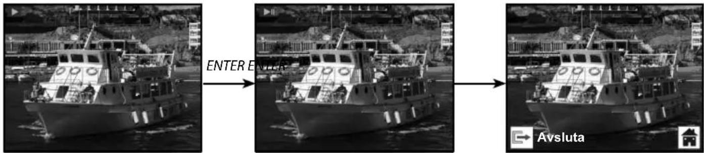 ROLLEI PDF-S 340 - Rollei - 2
