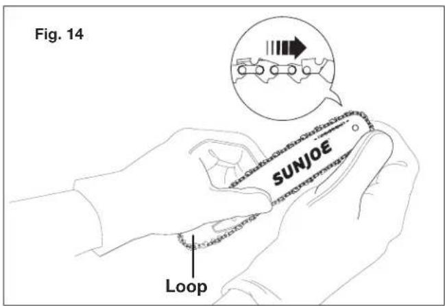 Fig. 14 SUNJOE Loop
