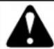 Cylinda Speed Queen - WARNING - 1