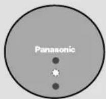 Panasonic