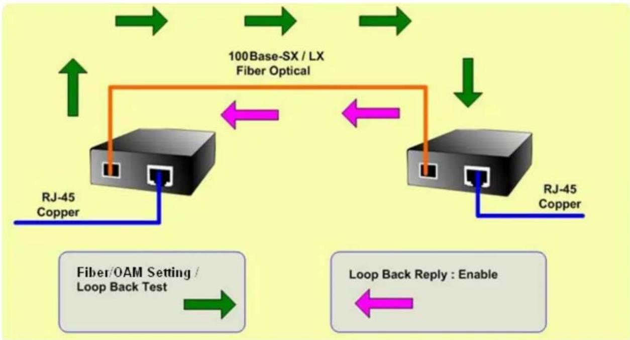 Planet FRT-401S15 - ■ 802.3ah Loop Back Test - 1