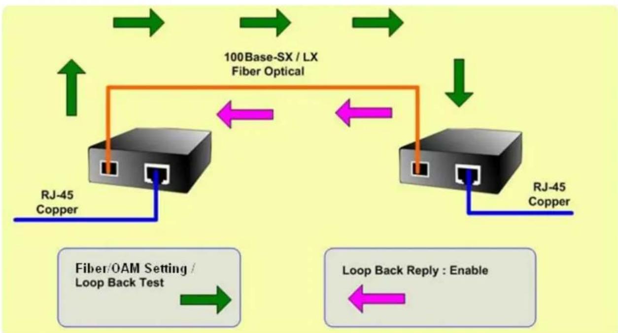 Planet FRT-401S15 - ■ TS-1000 Loop Back Test - 1