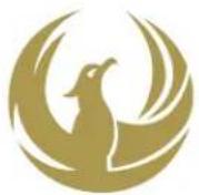 PHOENIX GOLD RX210D - 1