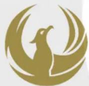 PHOENIX GOLD RX210D - INTERNATIONAL WARRANTIES: - 1