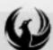 PHOENIX GOLD RX210D - PHOENIX GOLD - 1