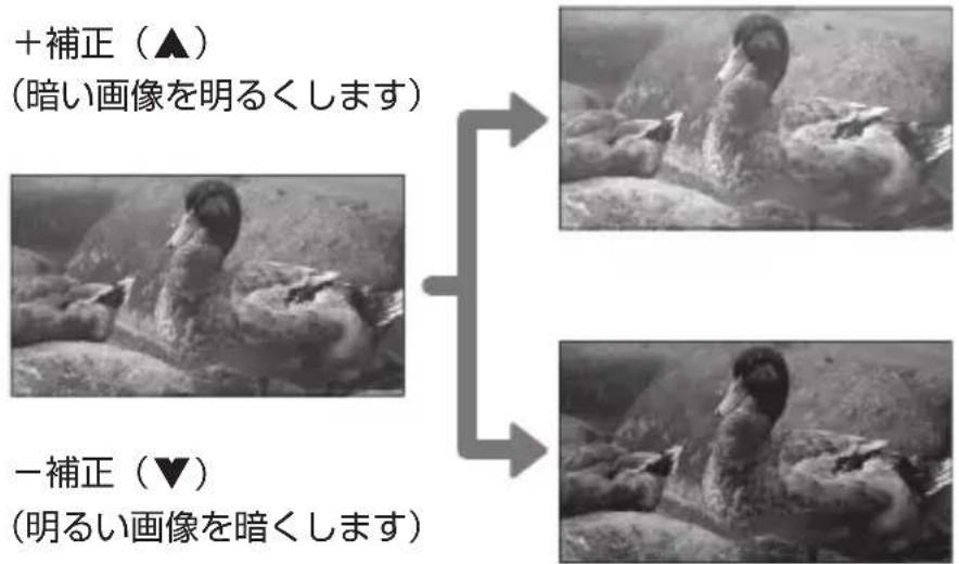FUJIFILM FinePix Z1100EXR - 画像の明るさを変える(露出補正) - 2