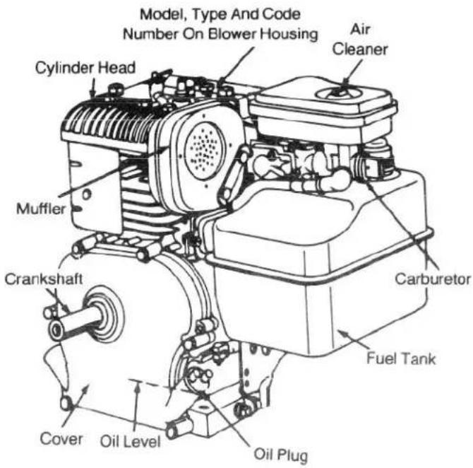 Model, Type And Code Number On Blower Housing Cylinder Head Air Cleaner Muffler Crankshaft Carburetor Fuel Tank Cover Oil Level Oil Plug