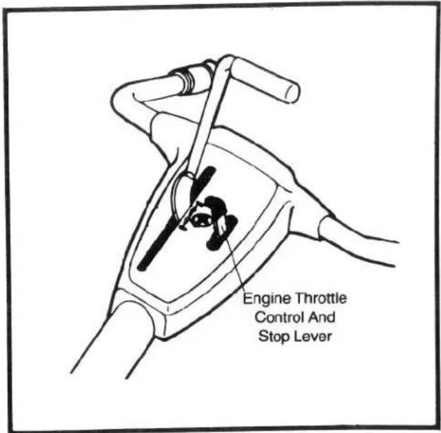 Engine Throttle Control And Stop Lever