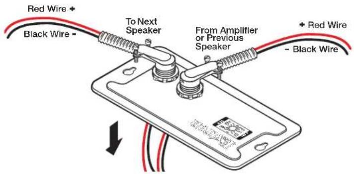 Red Wire + Black Wire - To Next Speaker From Amplifier or Previous Speaker + Red Wire + - Black Wire