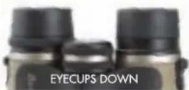 EYECUPS DOWN