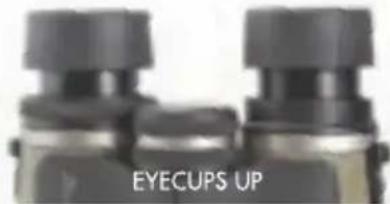 EYECUPS UP