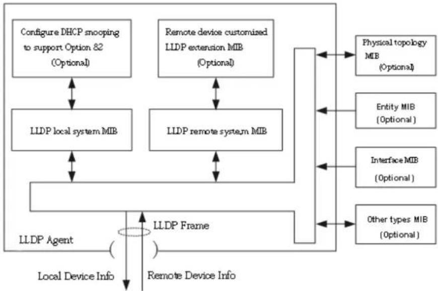 AIRLIVE WEB-10XGF8 - Discovery - 1
