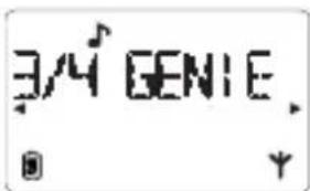 3/4 GENIE