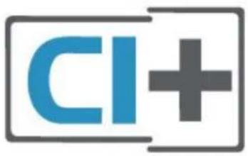 CI+