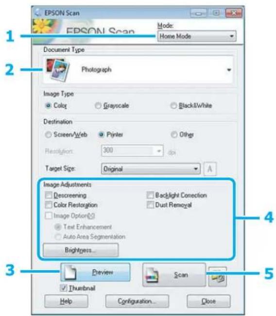 EPSON Expression Premium XP-710 - Scanning a Photo - 1