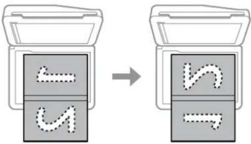 EPSON Expression Premium XP-710 - Placing a book - 1