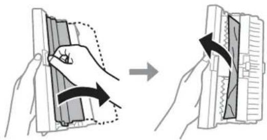 EPSON Expression Premium XP-615 - Removing jammed paper from the rear cover - 3