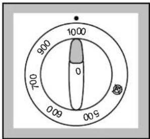 1000 900 700 0 0 000 5