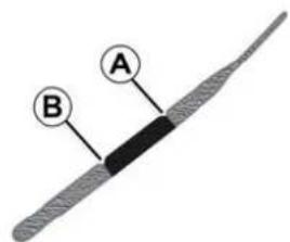 A B
