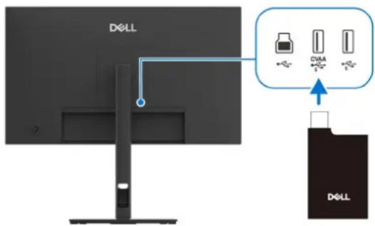 DELL CMA DOLL