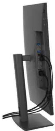 DELL P2426H - Organizing your cables - 1