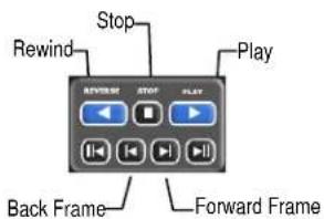 Stop Rewind Play REVIEW SET STOP PLAY Back Frame Forward Frame