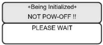 Mimaki JV5-130S - The message [PLEASE WAIT] appears flashing. - 1