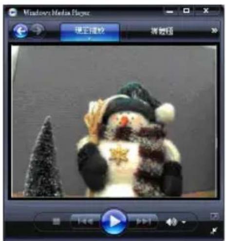 Gembird CAM78IP - Snapshot / Recording - 1