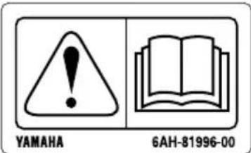 YAMAHA LFF225 - WARNING - 1