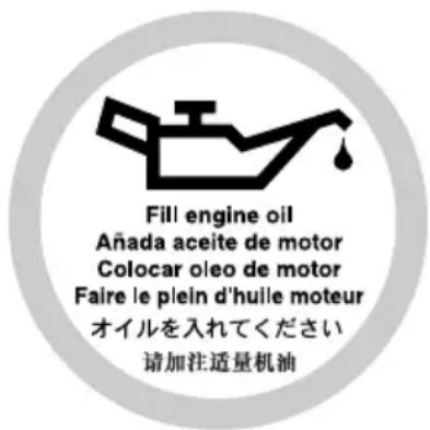 YAMAHA LFF225 - Filling engine oil - 1