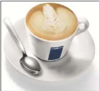 Lavazza Favola Plus - FROTHING MILK - 10